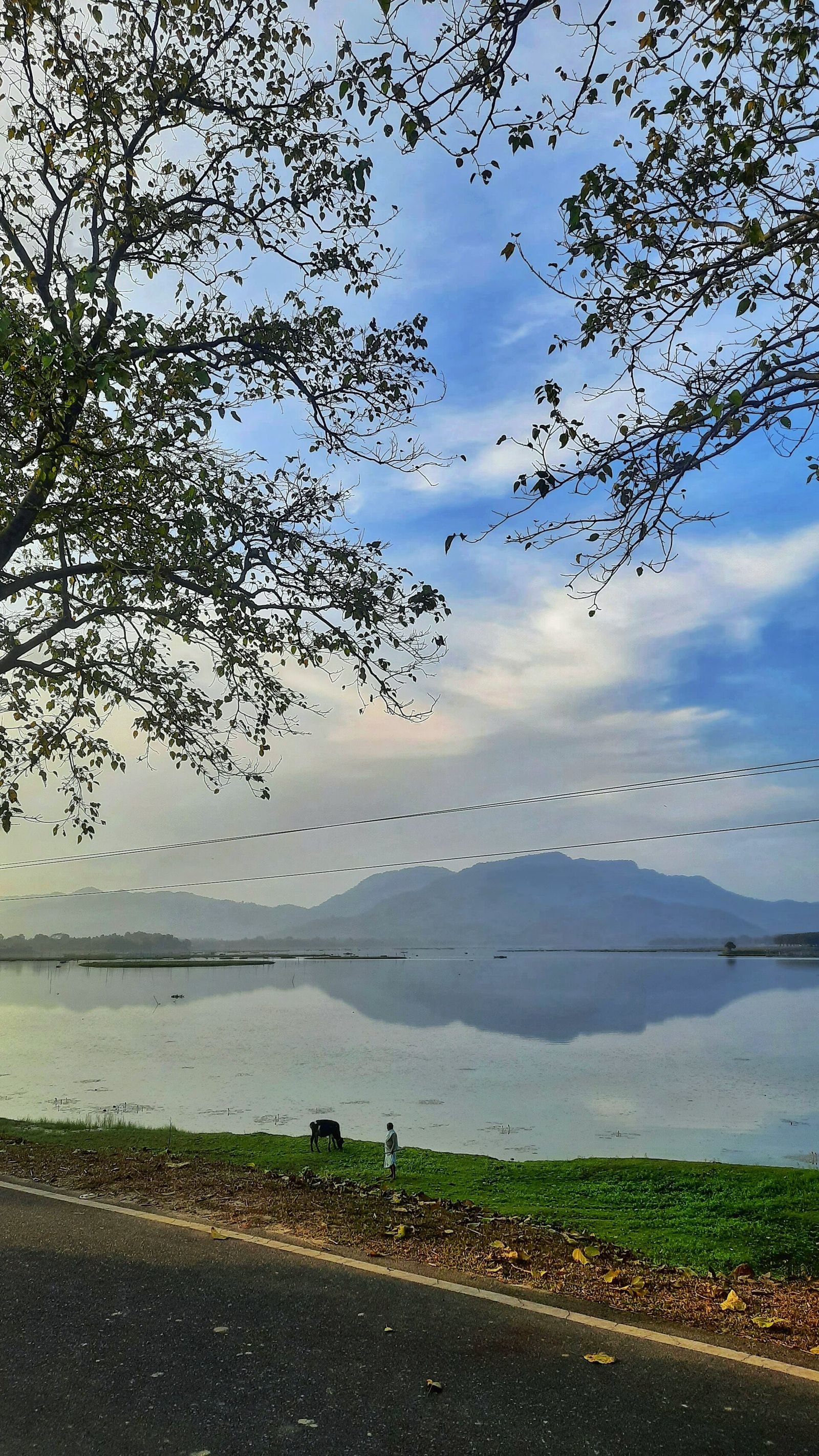 Bongaigaon