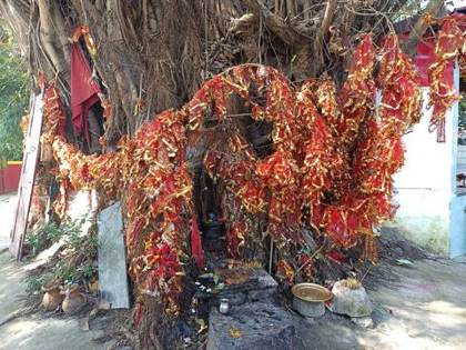 Red cloths tied to a tree at Bagheswari Temple