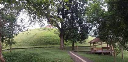 Burial mounds at Charaideo