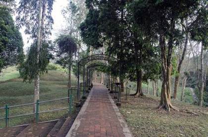 Walking through the Charaideo complex