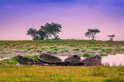 Country boats on Deepor Beel
