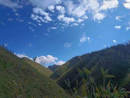 The folds of Dzukou Valley