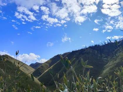 Dzukou Valley from the Viswema trail