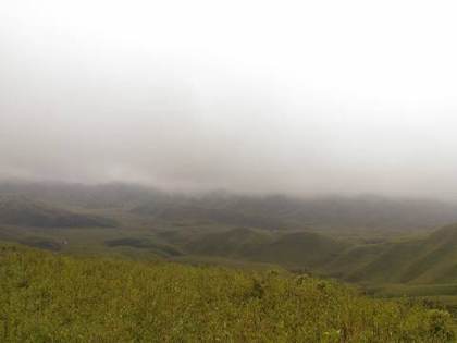Mist over Dzukou