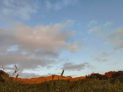 Dusk over the dwarf bamboo