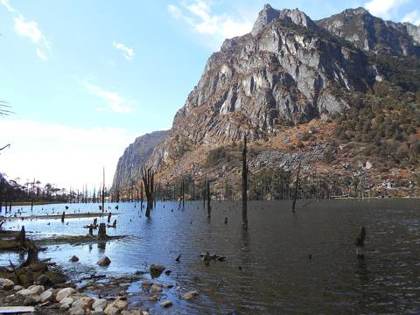 Dead trees standing in Sangestar Tso