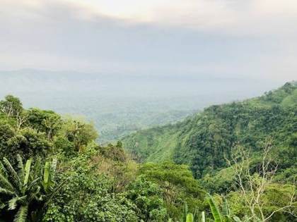 Looking out from the Jampui Hills