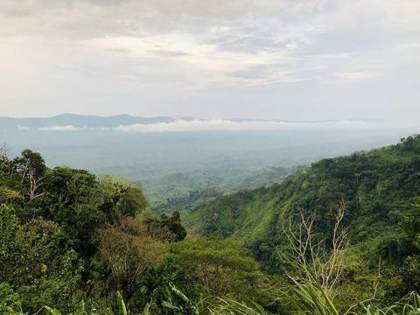 Cloud lying in the valleys below Jampui