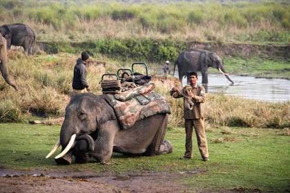Getting ready for the dawn elephant safari