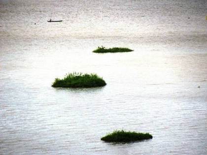 Floating phumdi islands at Keibul Lamjao