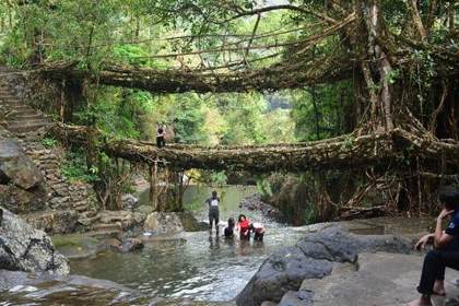 The double-decker root bridge at Nongriat