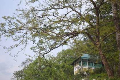 The Bansbari forest lodge inside the park
