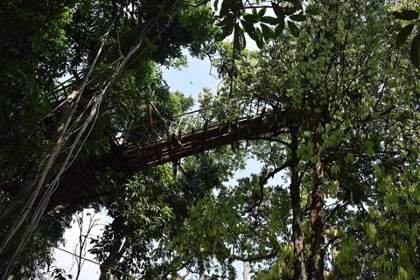The bamboo sky-view platform at Mawlynnong