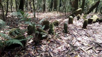 Old monoliths inside the sacred grove