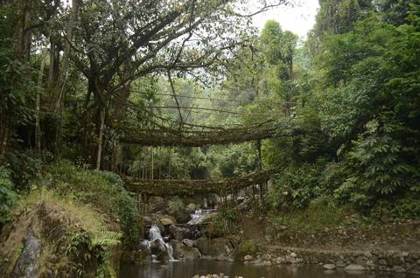 The double-decker bridge at Nongriat