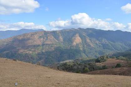 Open hill country at Phangrei, Ukhrul