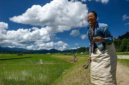 An Apatani woman in the Ziro fields