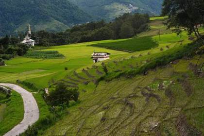 Terraced fields at Ziro