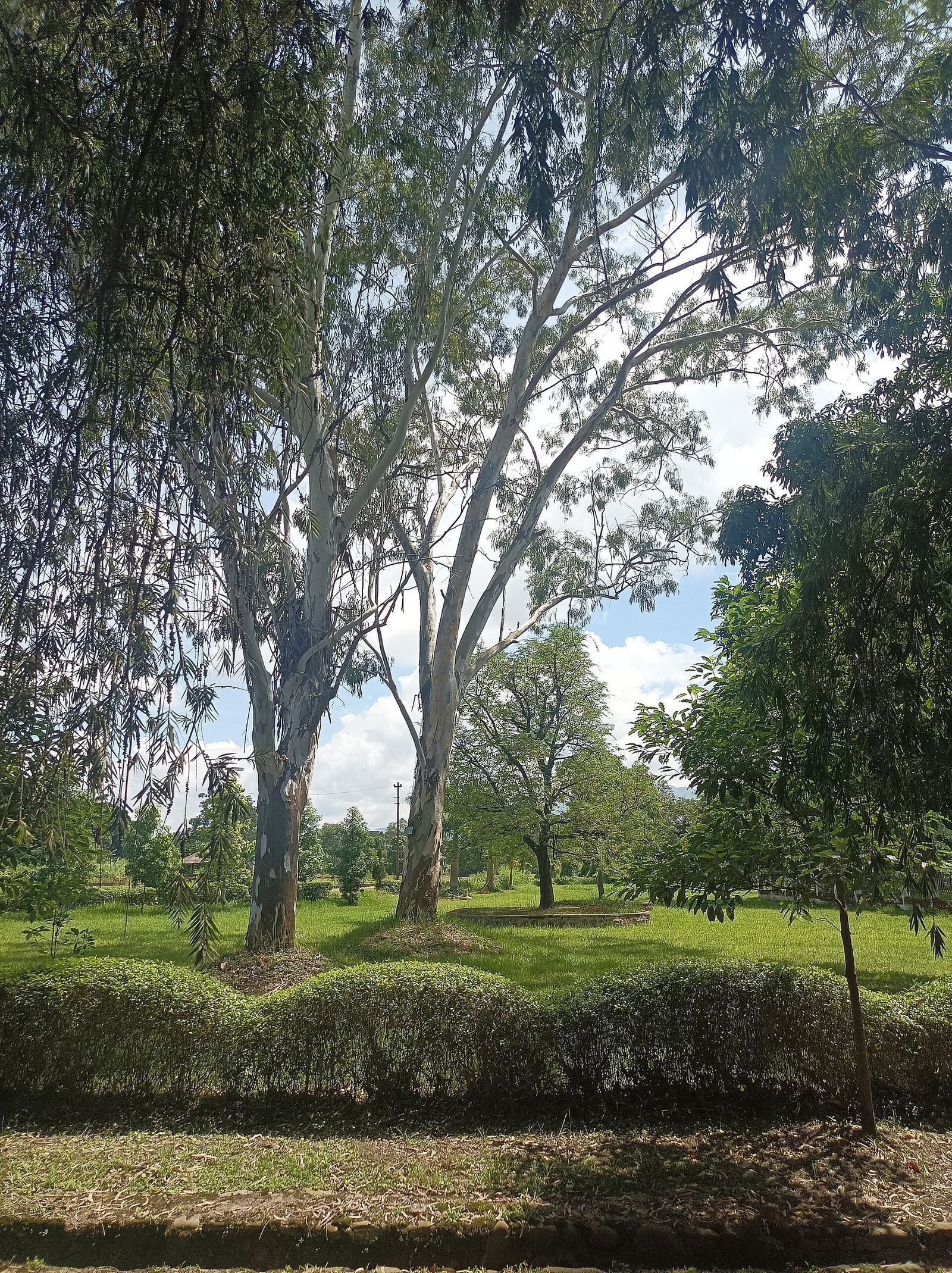 Kangla Fort