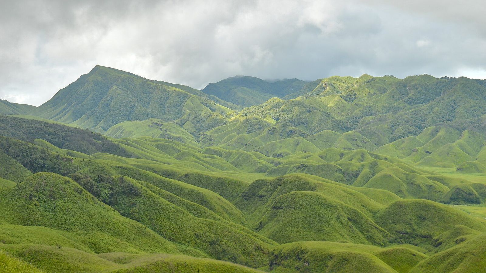 Dzukou Valley