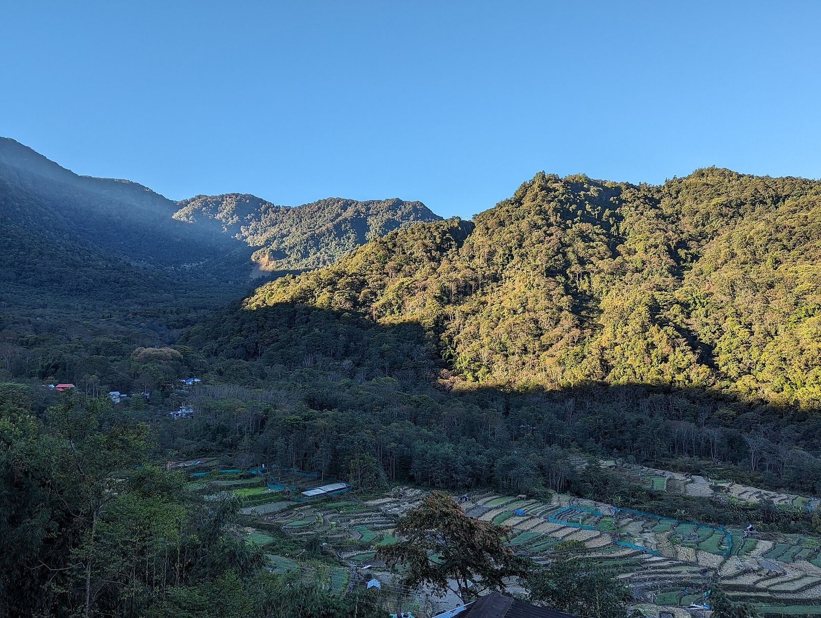 Khonoma