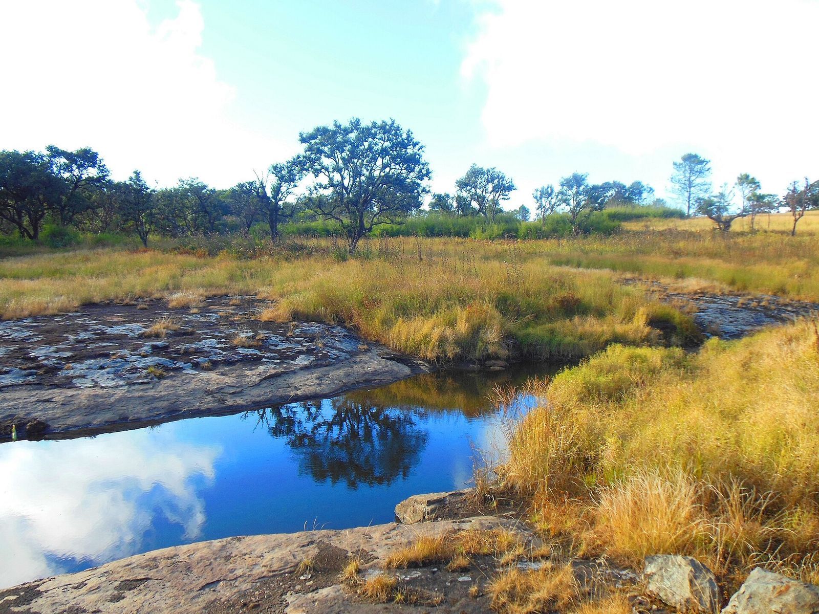 Phawngpui (Blue Mountain)