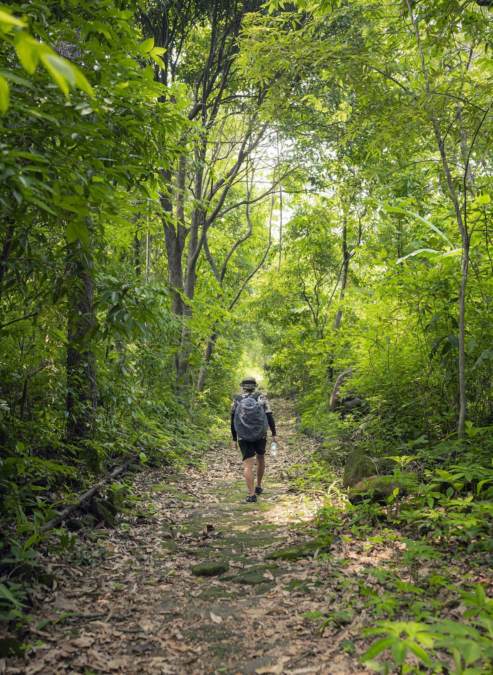 David Scott Trail