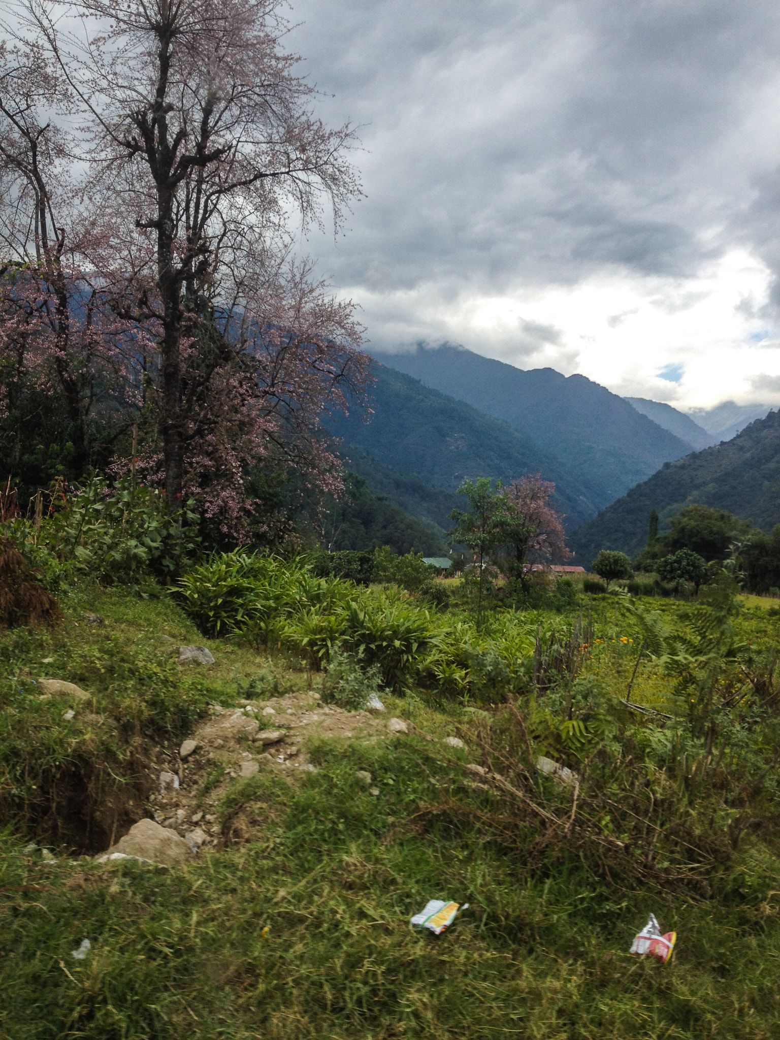 Dzongri Trek